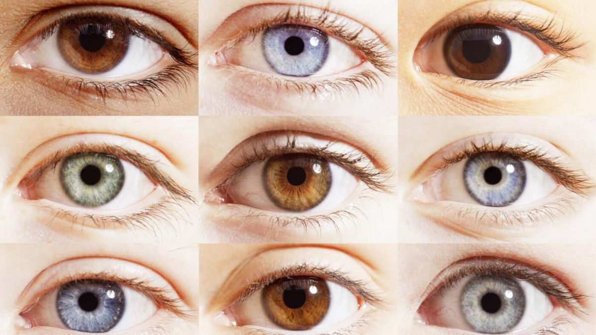 Qual  a cor de olhos mais rara do mundo?