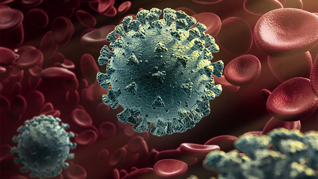Nova mutação do coronavírus é mais infecciosa, mas menos patogênica, segundo um novo estudo