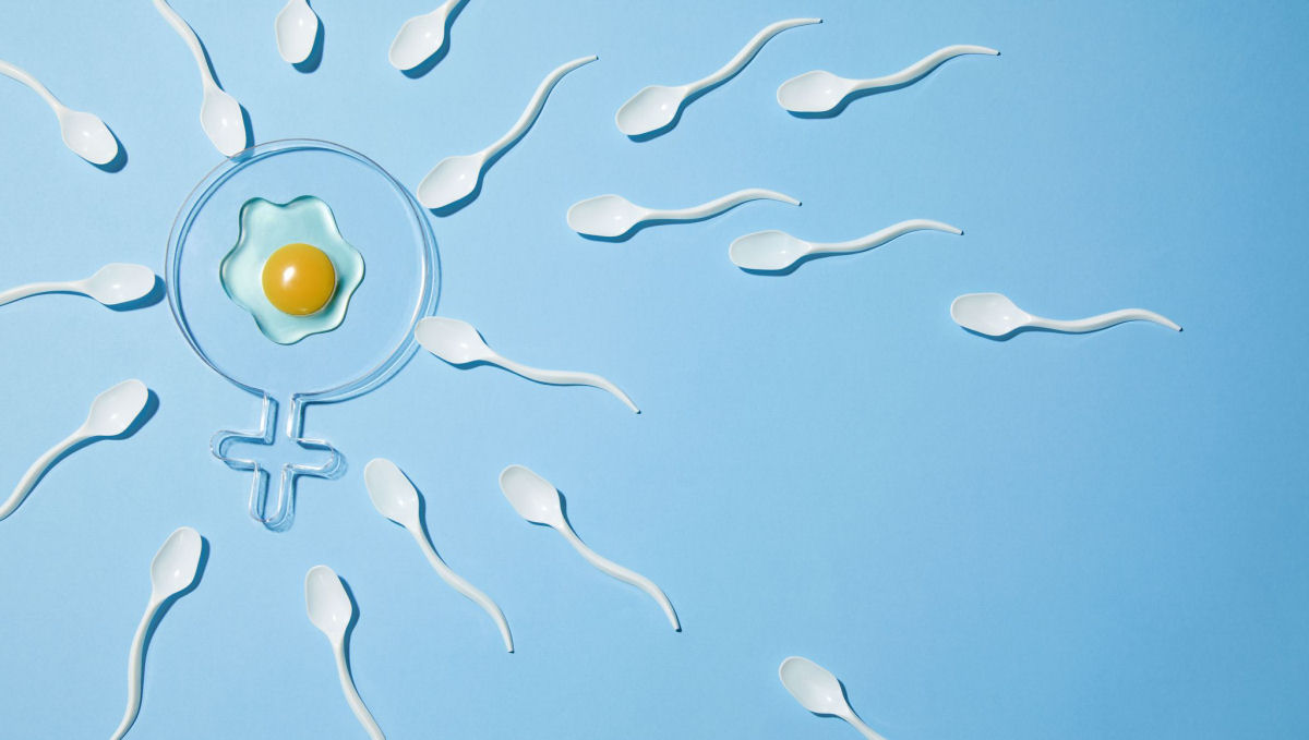 Crise de fertilidade: a vida moderna está tornando os homens inférteis?