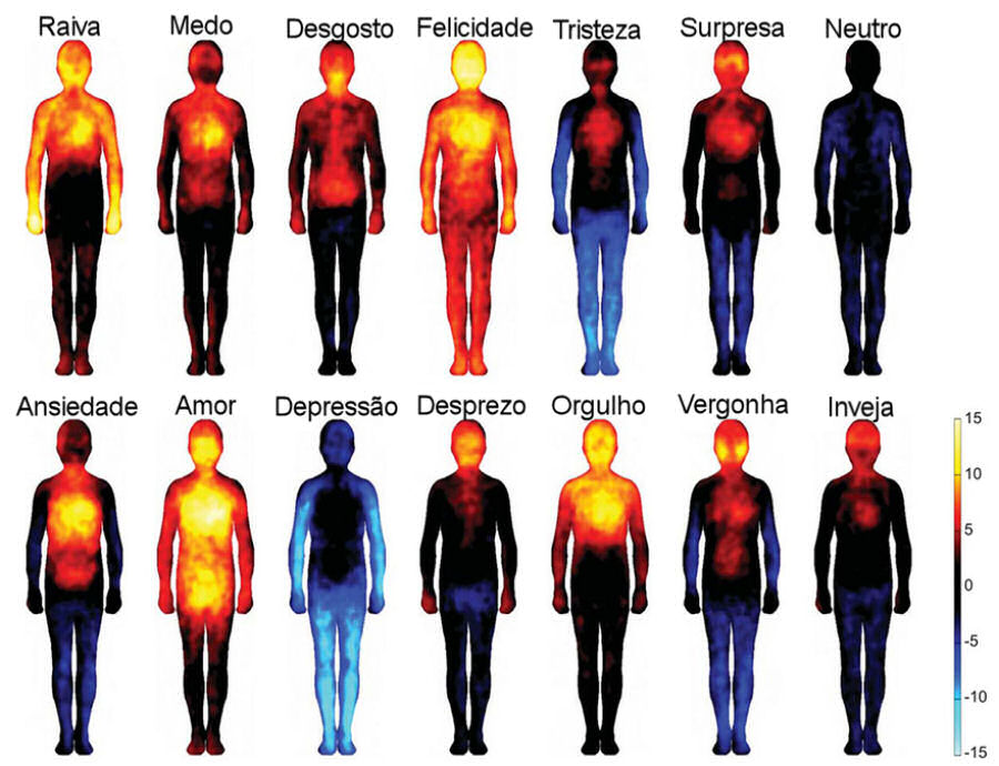 Em que zona do corpo se manifesta cada emoção?