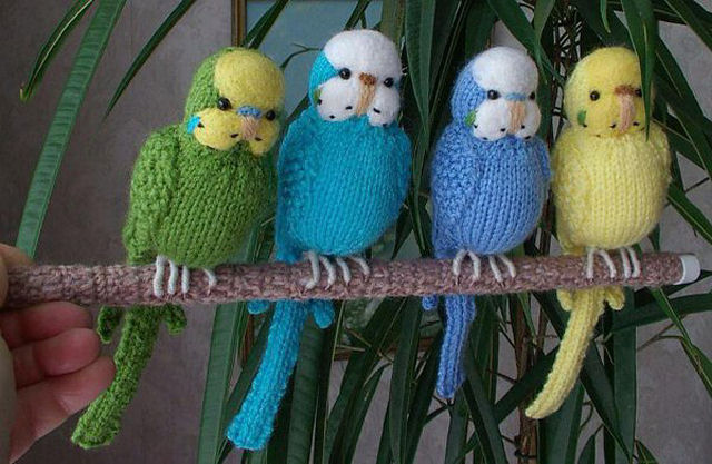 Periquitos tricotados.