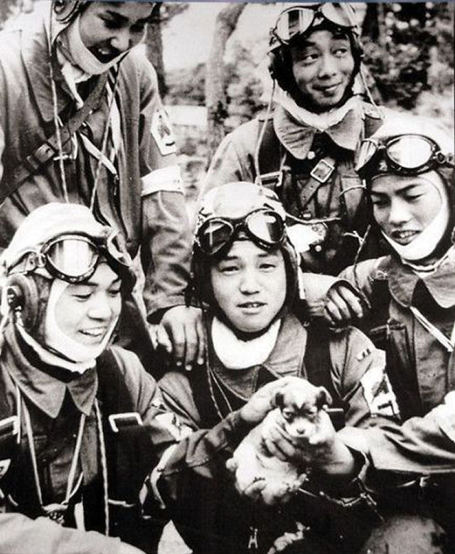Pilotos kamikazes tinham o costume de brincar com cães antes de seus voos.