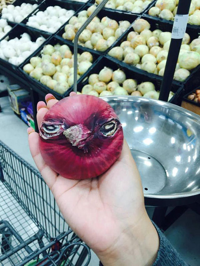 Angry bird.