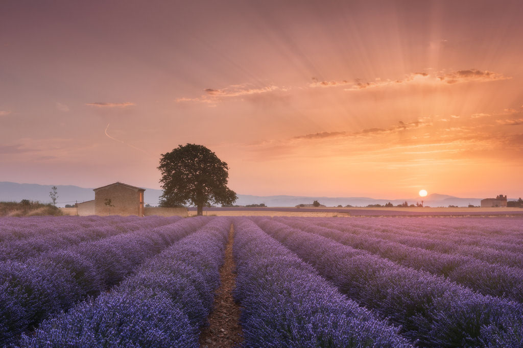 O sol de Provence por Daniel Kordan.