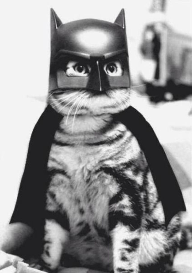 Eu sou o Batman.