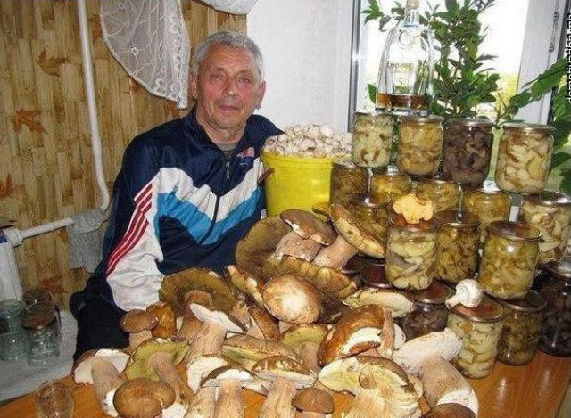 Dizem que uma vez ele pediu um cogumelo em casamento.