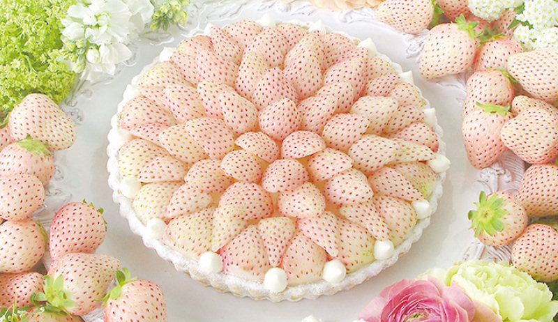 Pastelaria japonesa faz torta de morango branco para captar a essncia do primeiro amor.