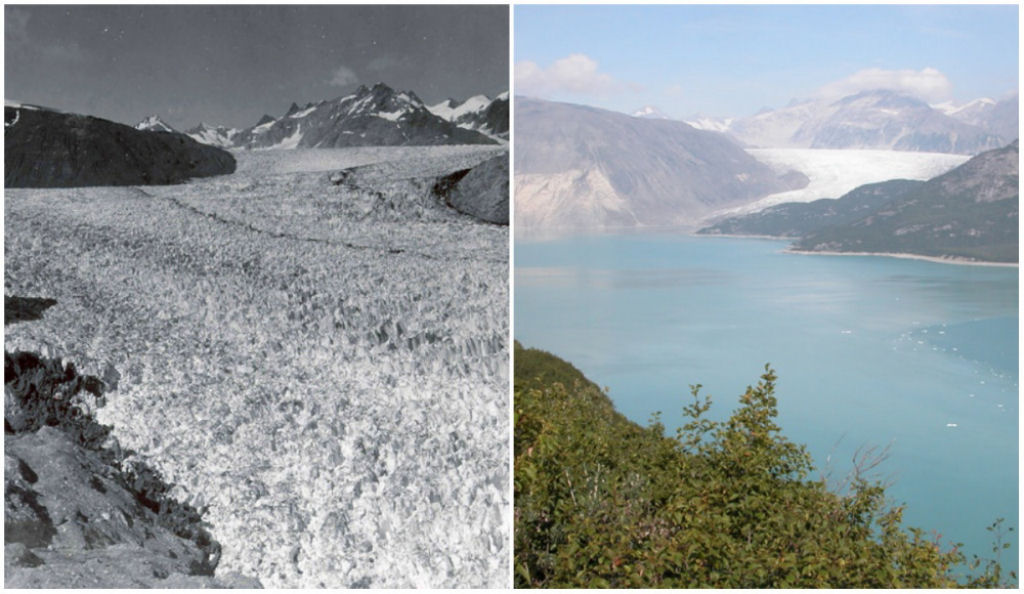 Geleira Muir, Alasca. Agosto de 1941 e agosto de 2015.