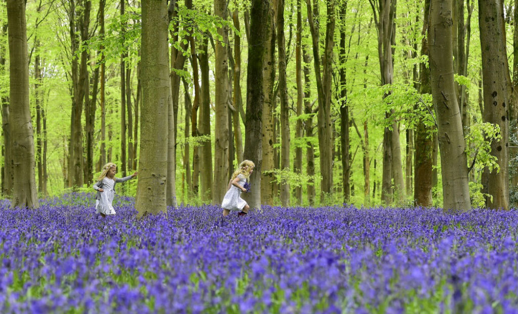 Duas meninas correm por um campo florido. Malboro, sul da Inglaterra. Por Toby Melville.