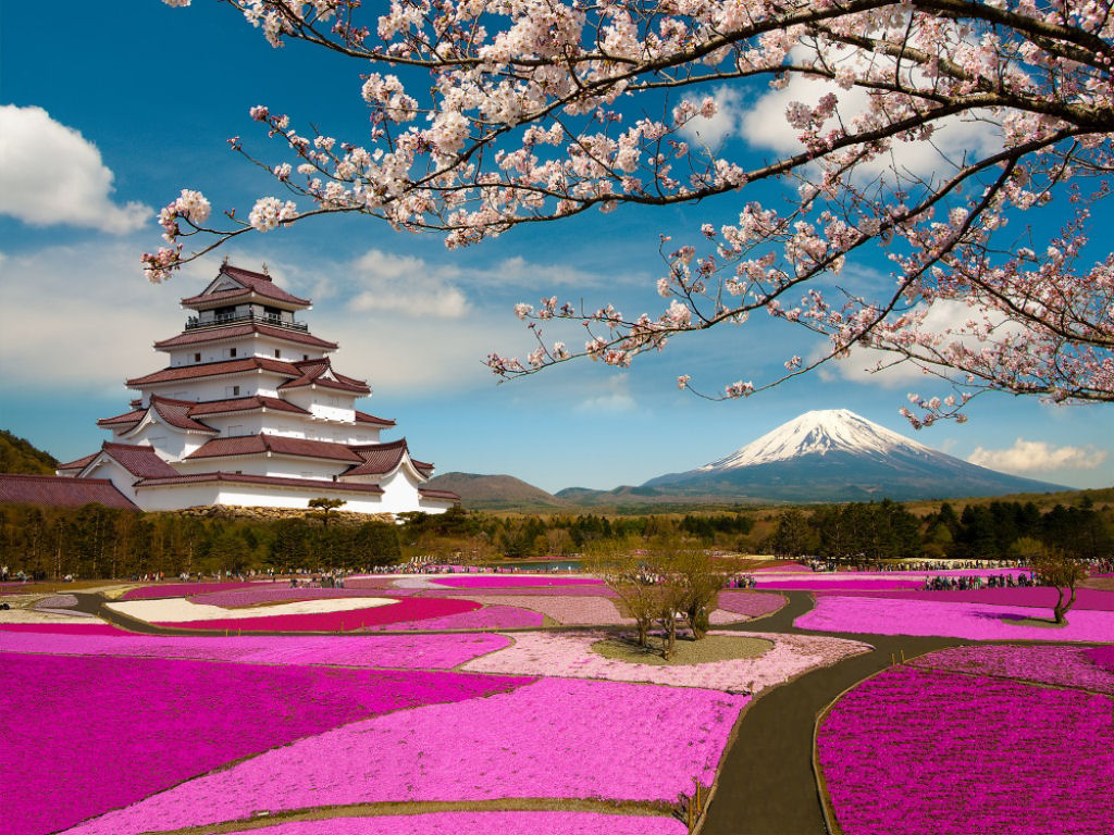 Sakura. Por Krishna Wu.