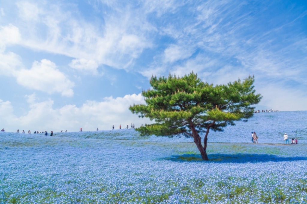 Universo azul no Japão. Por Hiroki Kondu.