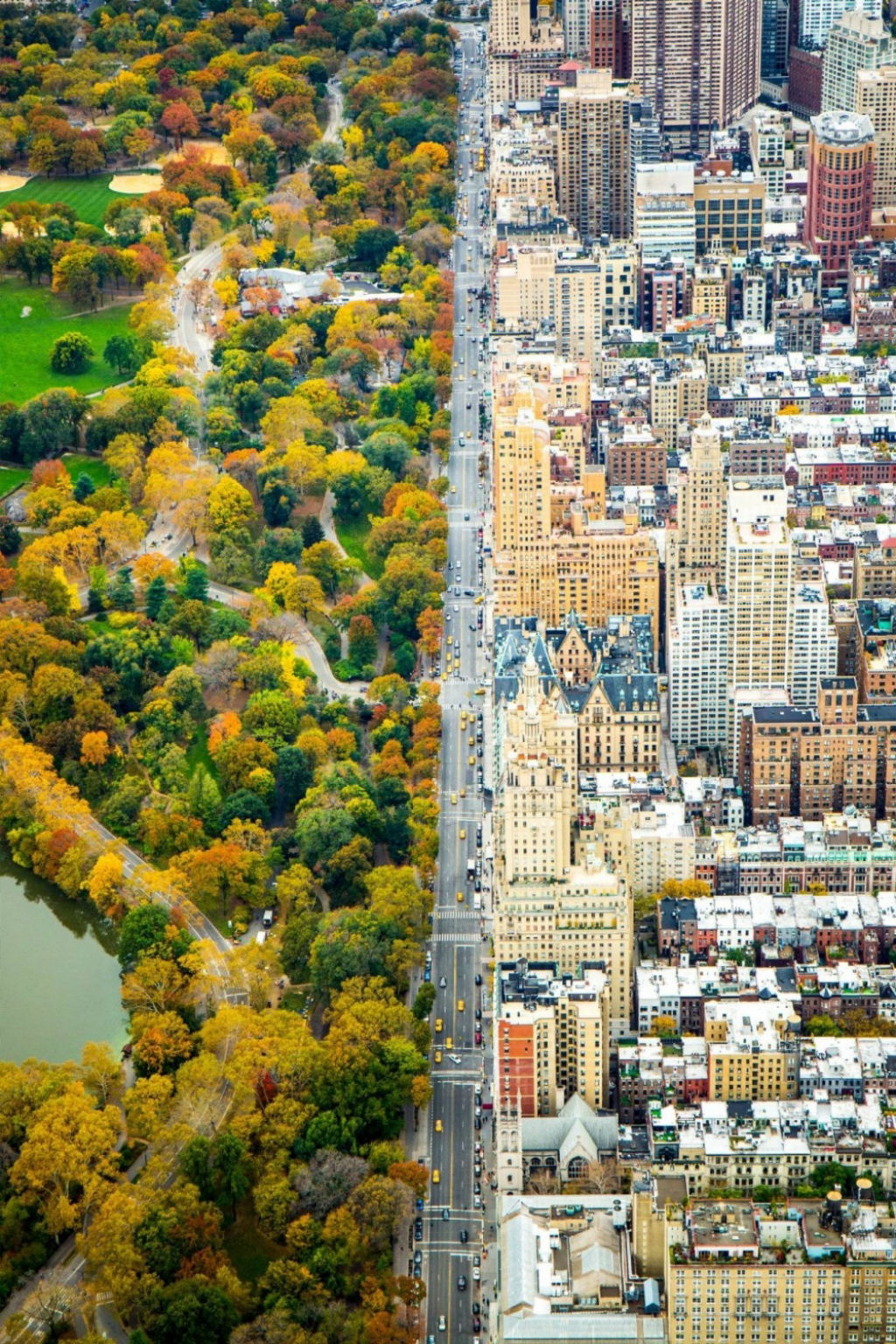 A agitada vida da cidade de Nova Iorque e a tranquilidade do Central Park.