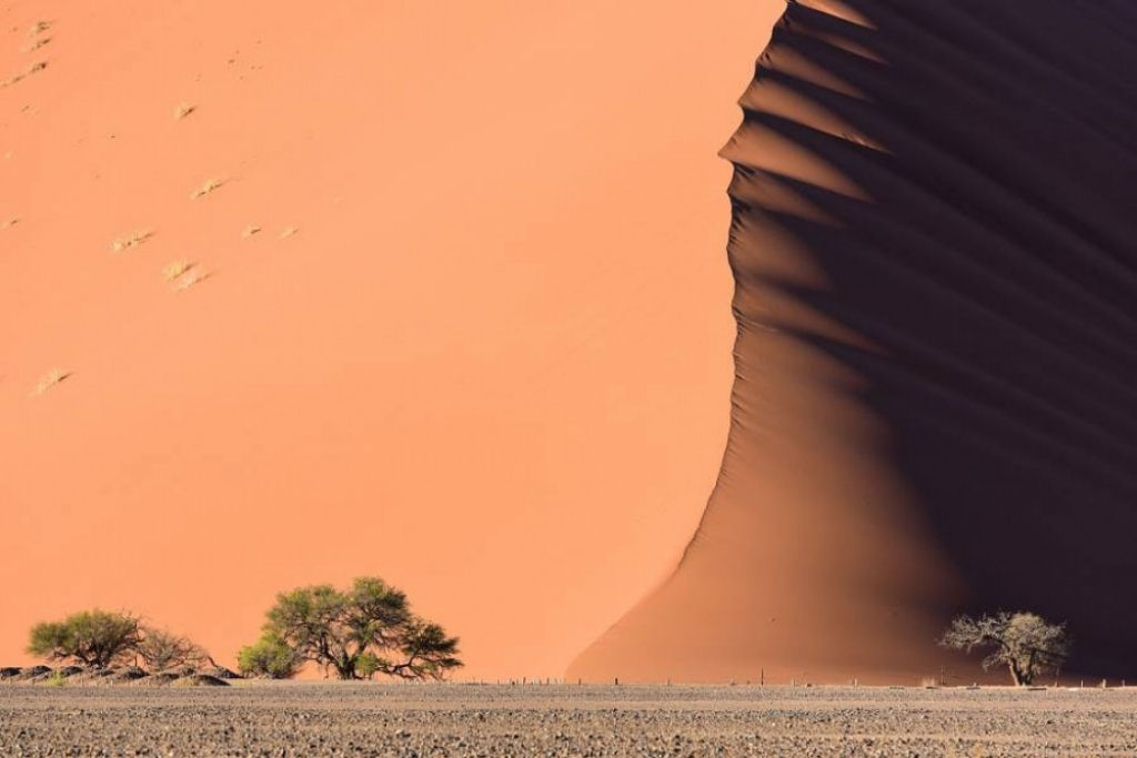 Deserto de Namib. Por Nick Lefebvre.