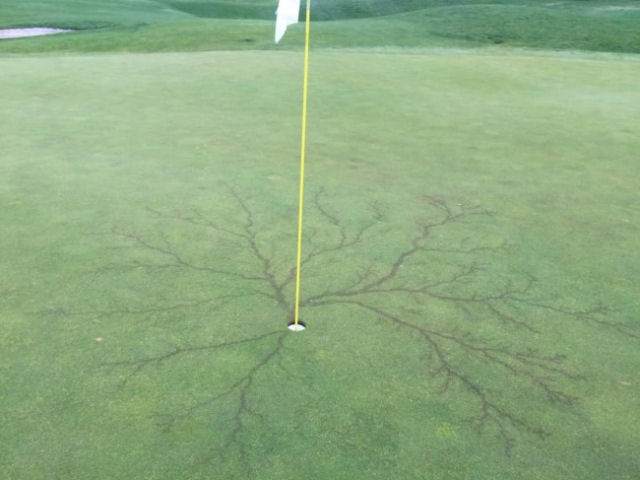 Isto  o que acontece quando um raio atinge a haste da bandeira do buraco do golfe!