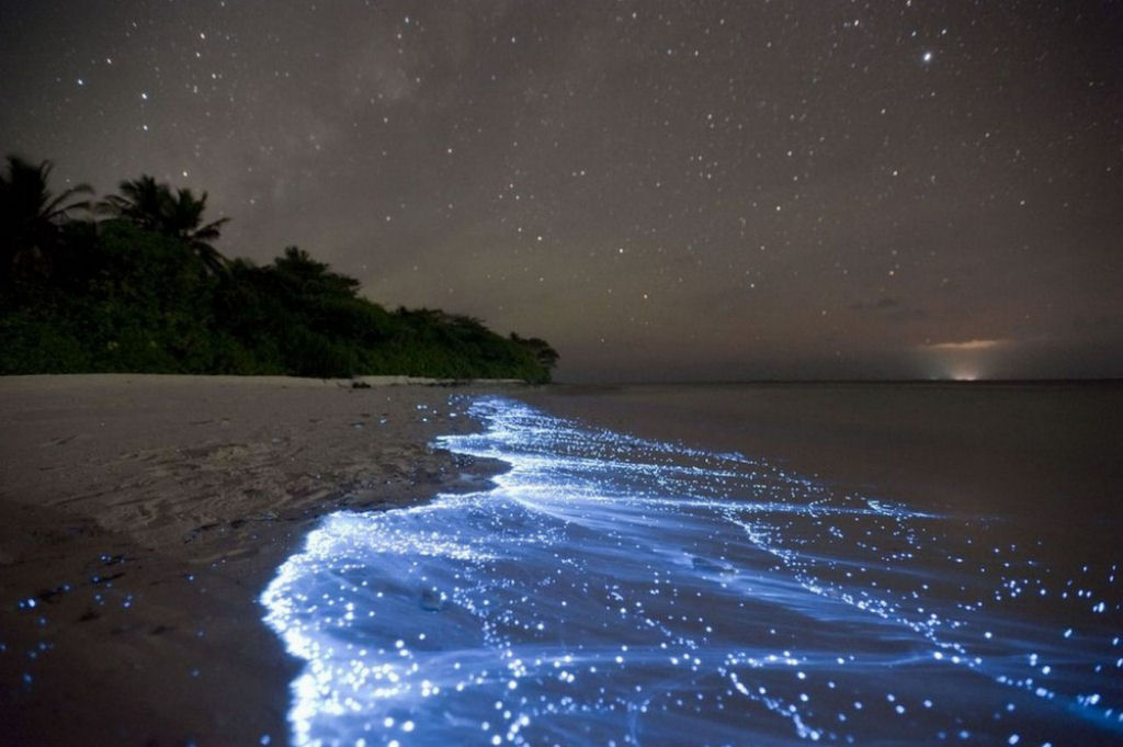 Ondas bioluminescentes nas praias das Maldivas. Por Doug Perrine.