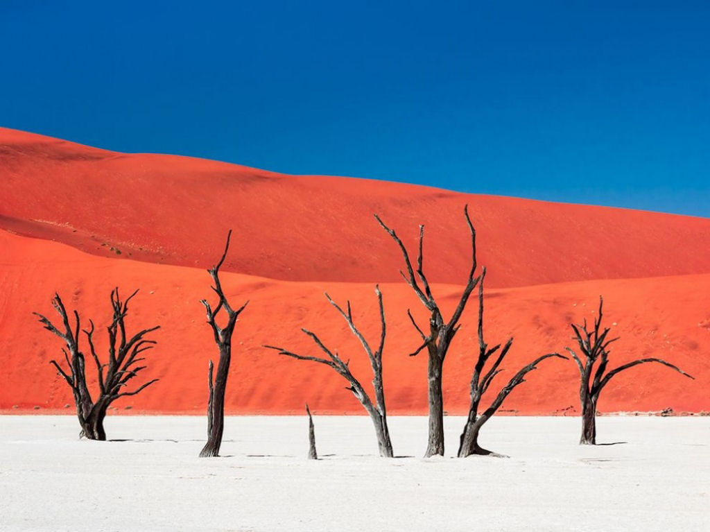 Uma ilha de silncio e calor (deserto da Nambia, frica). Por Carsten Krger.