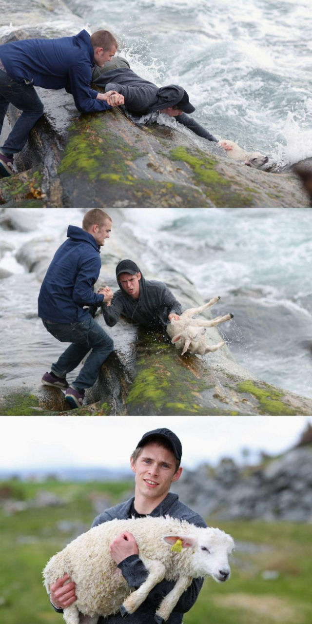 Dois jovens resgatam a um cordeiro que estava se afogando.