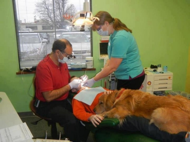 Este co trabalha com um dentista, e ajuda a reduzir o estresse entre os pacientes mais jovens.