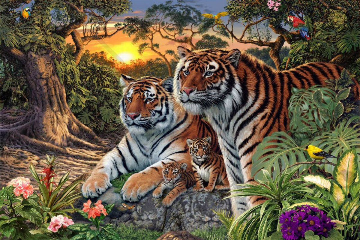 Quantos tigres voc v nessa imagem?