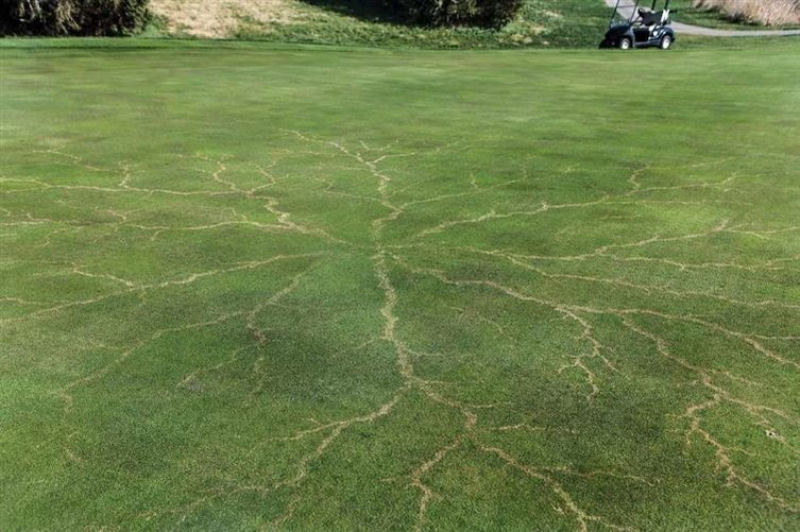 Assim ficou o solo de um campo de golfe aps sofrer o impacto de um raio.