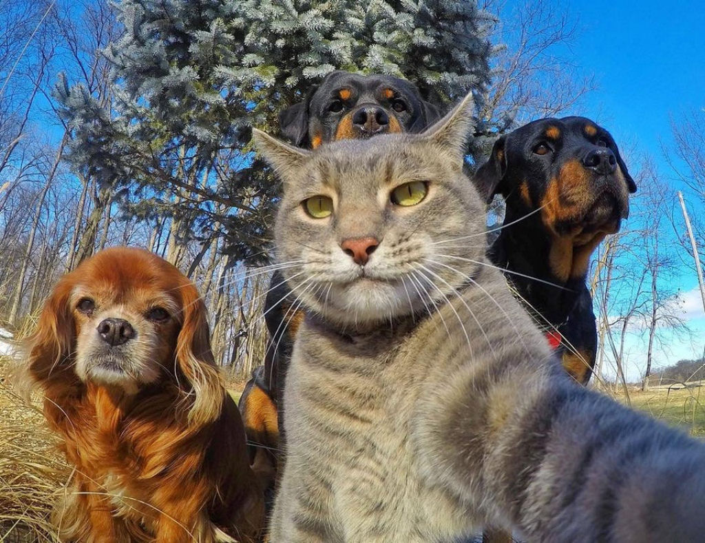 Selfie com os amigos.