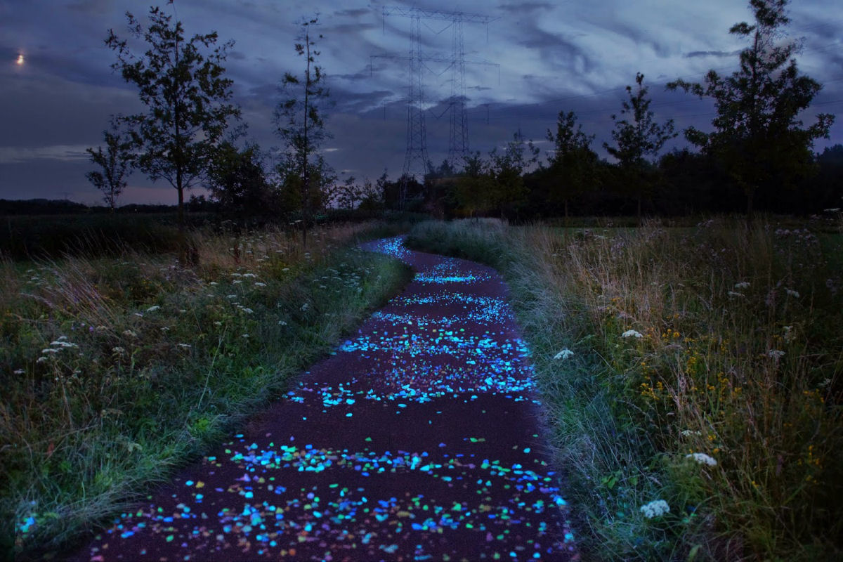 Ciclovia que brilha no escuro, inspirada na obra de Van Gogh,  inaugurada na Holanda 05