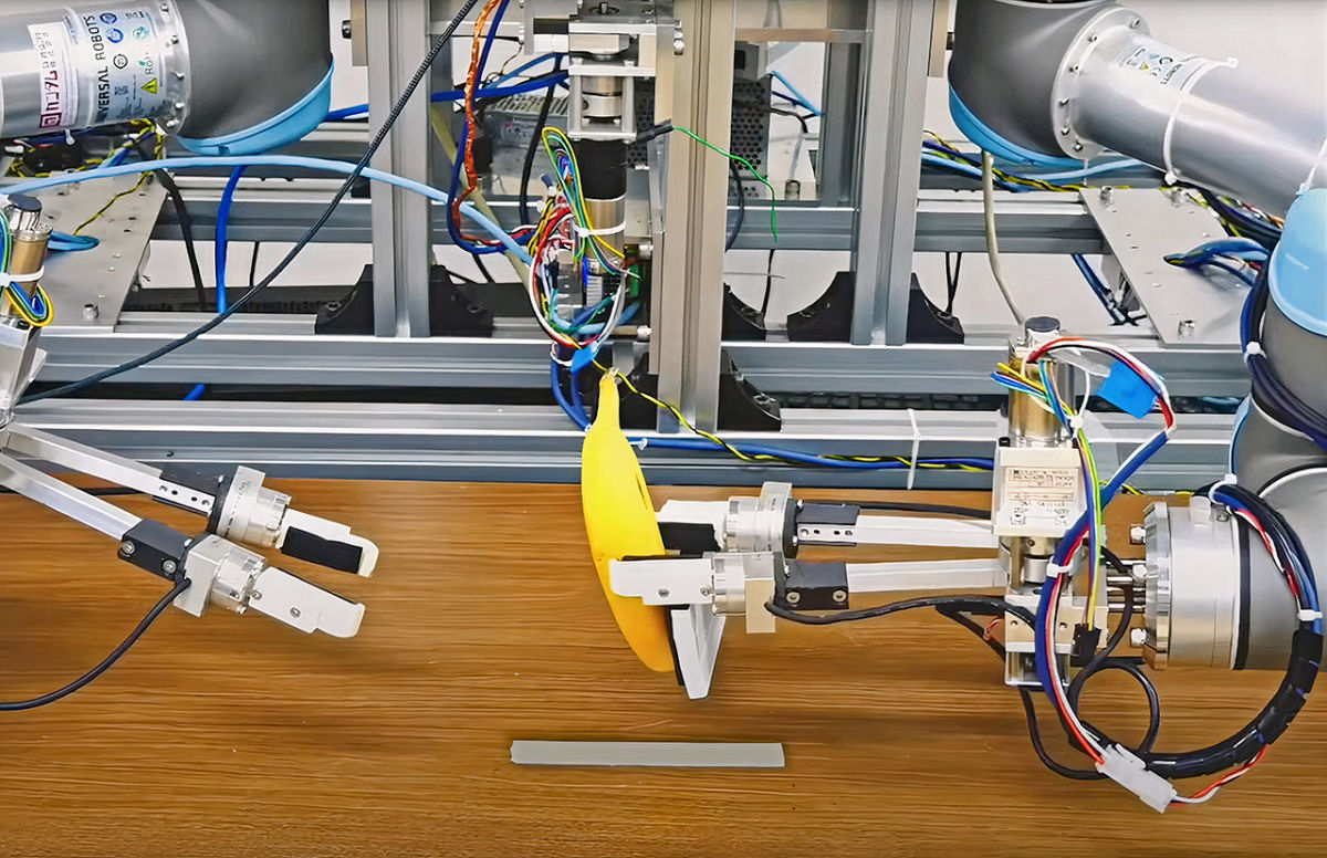 Robôs usam aprendizado de IA para descascar suavemente uma banana