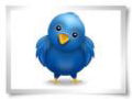 Twitter tem 75 milhões de usuários e 40% nunca sequer enviou um tweet 