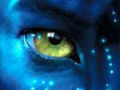 Curiosidades e fotos do Making Of do filme Avatar