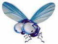 As histórias da mosca matemática e a mosca doce