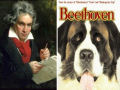 Universitários americanos confundem Beethoven com um cão