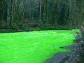 Um rio verde no Canadá
