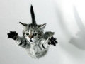 O que aconteceria se um gato pulasse de um prédio alto?