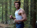 25 Wolverines que você não verá em X-Men: First Class
