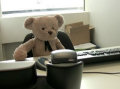 Misery Bear vai para o trabalho