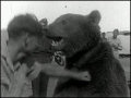Voytek, o urso que se alistou no exército polonês