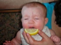 Criança chupando limão (23 fotos)