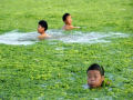 Praia chinesa invadida por algas