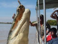 Impressionante fotografia de um crocodilo gigante saltando junto a um barco é real