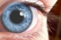 Os humanos de olhos azuis descendem de um só ancestral comum