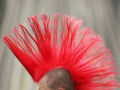 Homem dispara na cabeça de mulher por confundir seu penteado mohwak com um pássaro