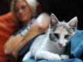 Mulheres que vivem com gatos são mais proclives ao suicídio, revela estudo