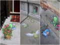 Sluggo, o verdinho que vive nas calçadas (30 fotos)