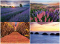 Belas paisagens da Nova Zelândia na lente de Chris Gin