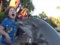 Golfinho morde a mão de garota no Sea World de Orlando