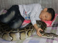 Garoto chinês vive e dorme com um Píton enorme há 13 Anos