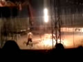 Tigre ataca seu domador durante apresentação no circo no México