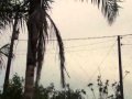 Chuva de aranhas surpreende a população Santo Antônio da Platina<br />
