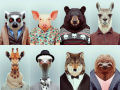 Engraçados retratos de animais vestidos como seres humanos