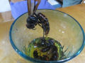 Bebida japonesa fermentada com veneno da vespa assassina